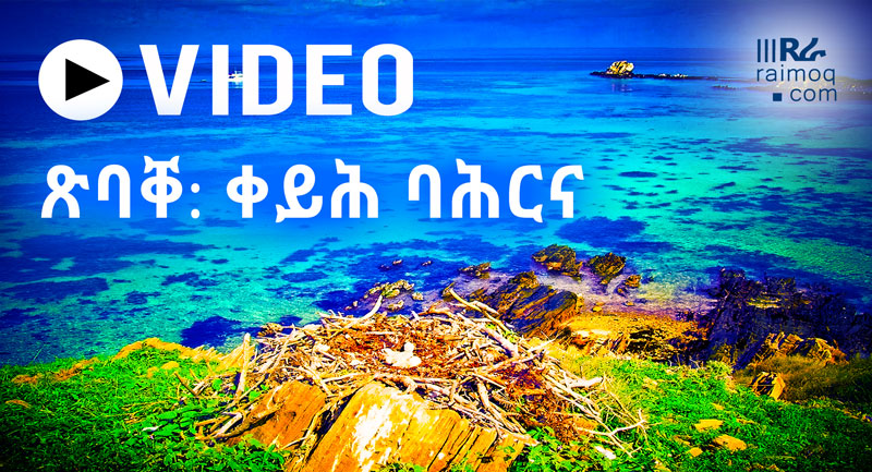 [VIDEO] The Beauty of our Red Sea