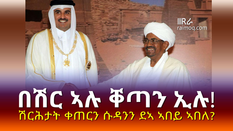 Why is Sudan talking only about Eritrean opposition? The issue is actually “the use of Egyptian troops in Sawa”