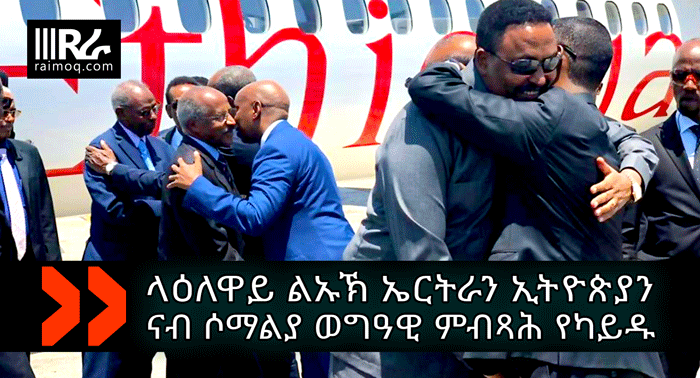 Eritrea, Ethiopia foreign ministers in Somalia for high-level talks