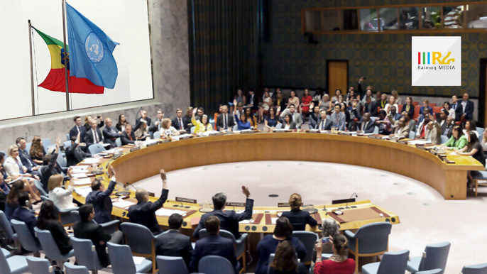 UN Security Council Session On Tigray Ends With No Agreement