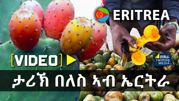 [VIDEO] Beles – History of Cactus Fruit in Eritrea