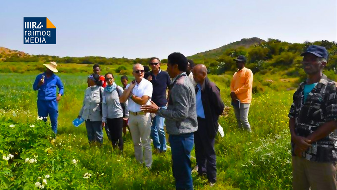 EU support to improve Eritrea’s food security and farmer’s income – site visit in Tselot