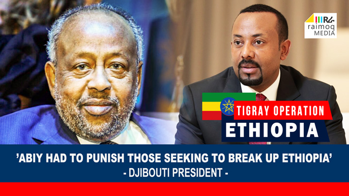 Djibouti, are supporting the PM Abiy’s stance in Tigray Region