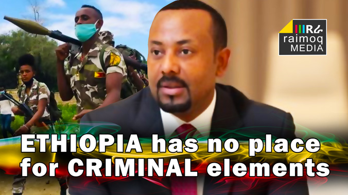 Ethiopia has no place for criminal elements, PM Abiy Ahmed
