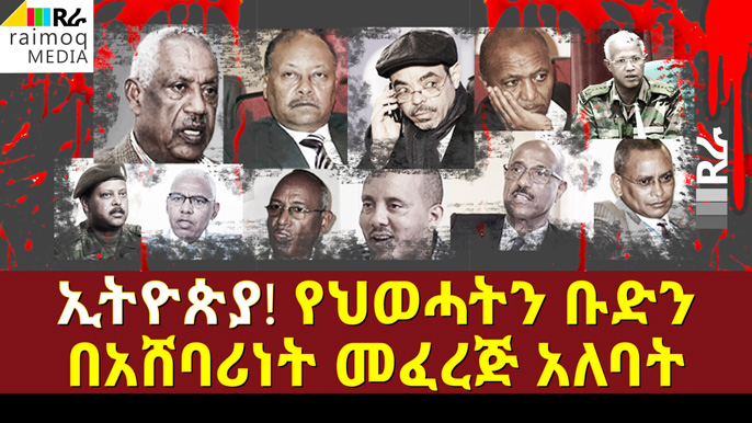 Ethiopia: should designate the TPLF as a terrorist organisation