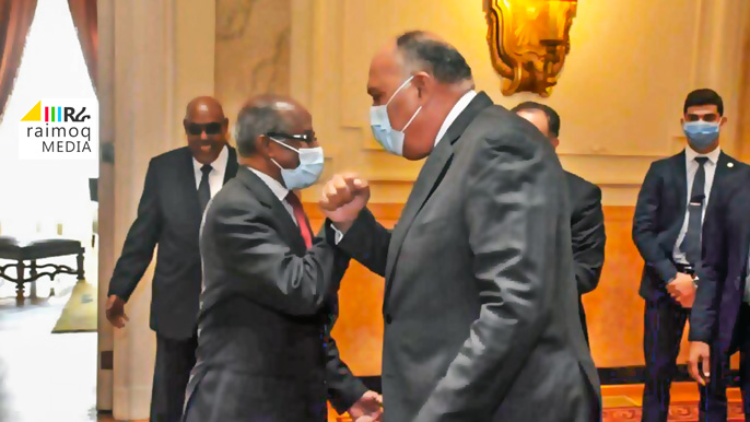 Egypt, Eritrea Foreign Ministers discuss ongoing conflict in Ethiopia’s Tigray region