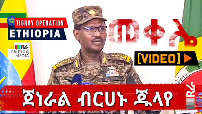 [VIDEO] General Berhanu Julayo about Mekelle Operation