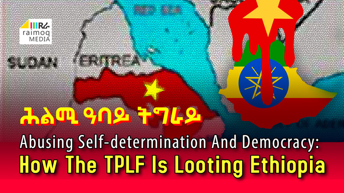 Abusing Self-determination And Democracy: How The Tplf Is Looting Ethiopia