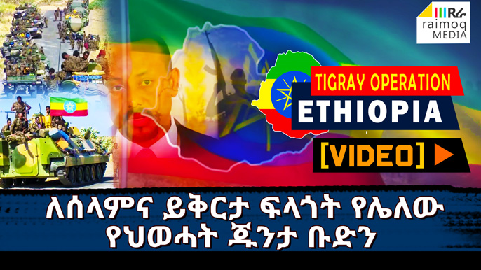 [VIDEO] The TPLF Junta isn’t interested in peace and forgiveness