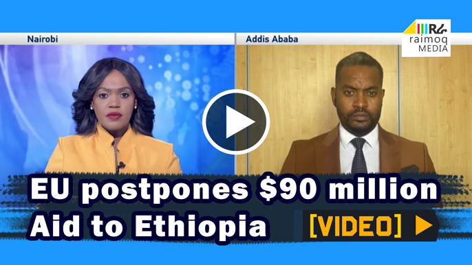 [VIDEO] EU delays €90 million in aid to Ethiopia over Tigray crisis
