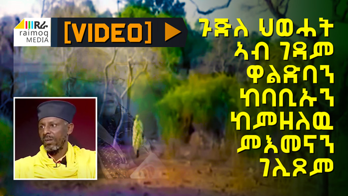 [VIDEO] “TPLF Junta moves around Waldba Monastery”