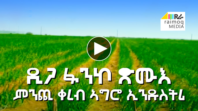 [VIDEO Reportage] Fanco-Tsmue Dam and Agro Industry in Eritrea