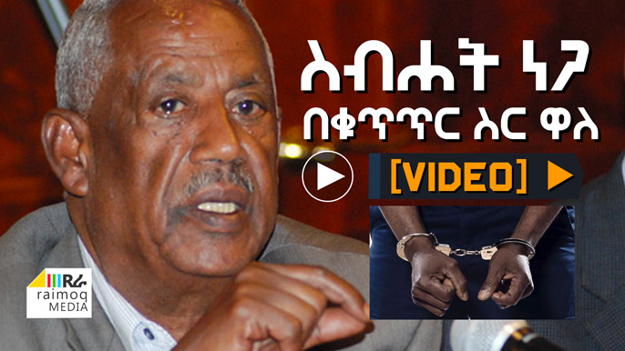 [VIDEO] The Junta leader Sibhat Nega has been arrested
