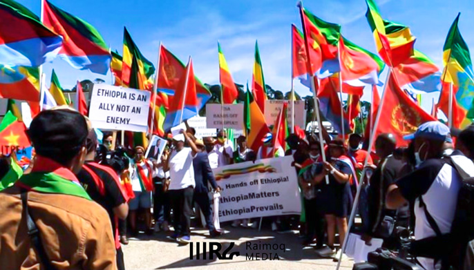 Eritreans, Ethiopians protest in the United Kingdom opposing intervention